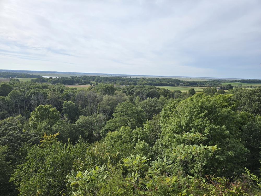 View from the ledge at Dodge County Ledge Park