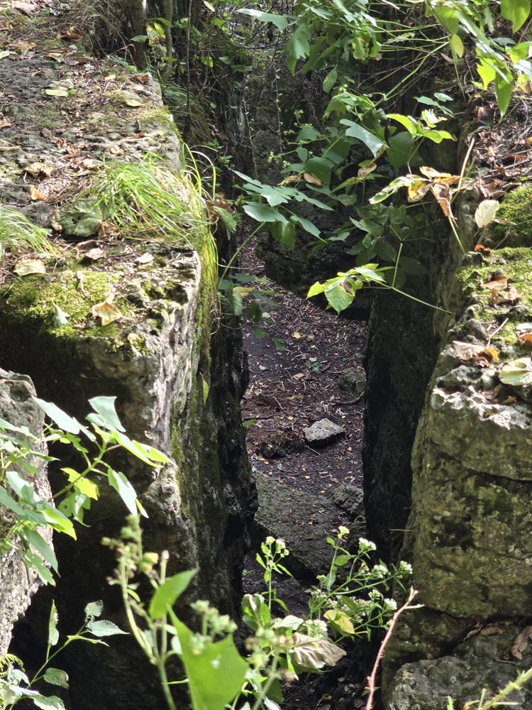 Some of the crevices in the escarpment at Dodge County Ledge Park