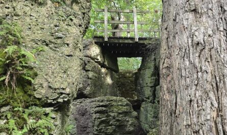 Dodge County Ledge Park near Horicon, Wisconsin