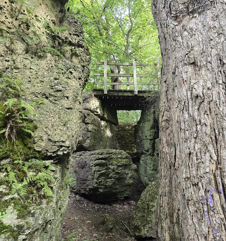 Dodge County Ledge Park near Horicon, Wisconsin