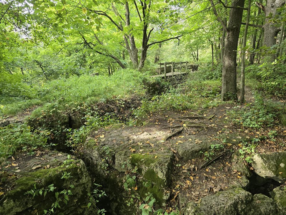 Crevices and trails along the escarpment at Dodge County Ledge Park near Horicon, Wisconsin