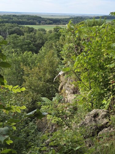 View from the ledge looking toward Horicon Marsh from Dodge County Ledge Park