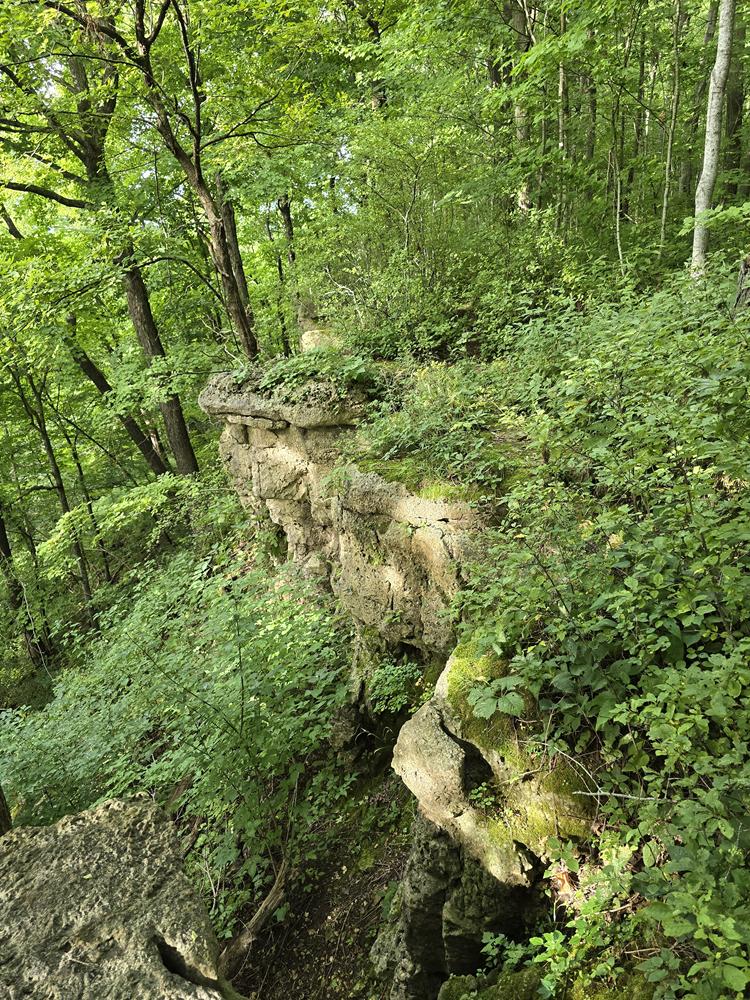 Part of the ledge and escarpment at Dodge County Ledge Park