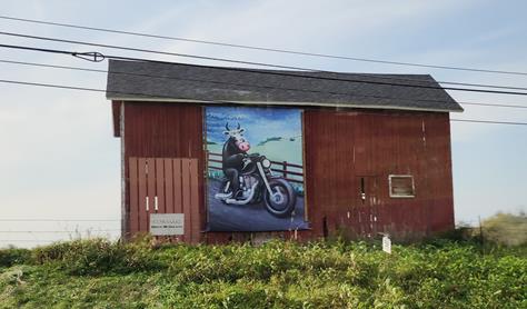 Cowasake art on a barn along Highway 83 between Delafield and Hartland, Wisconsin