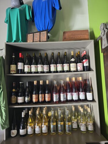 Silarian Vineyards & Winery near Cato, Wisconsin